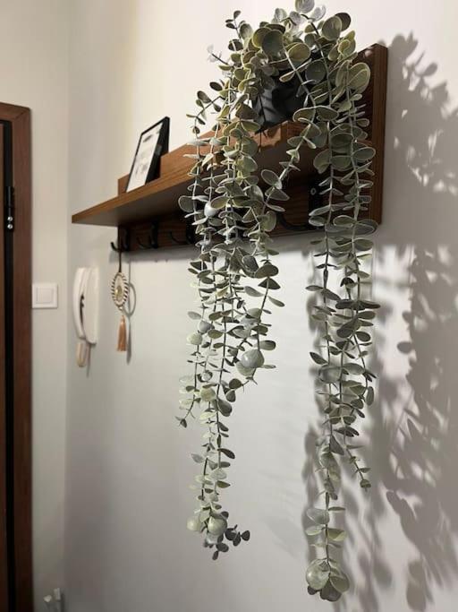 Appartamento Luxury Prive Penthouse Serres Esterno foto